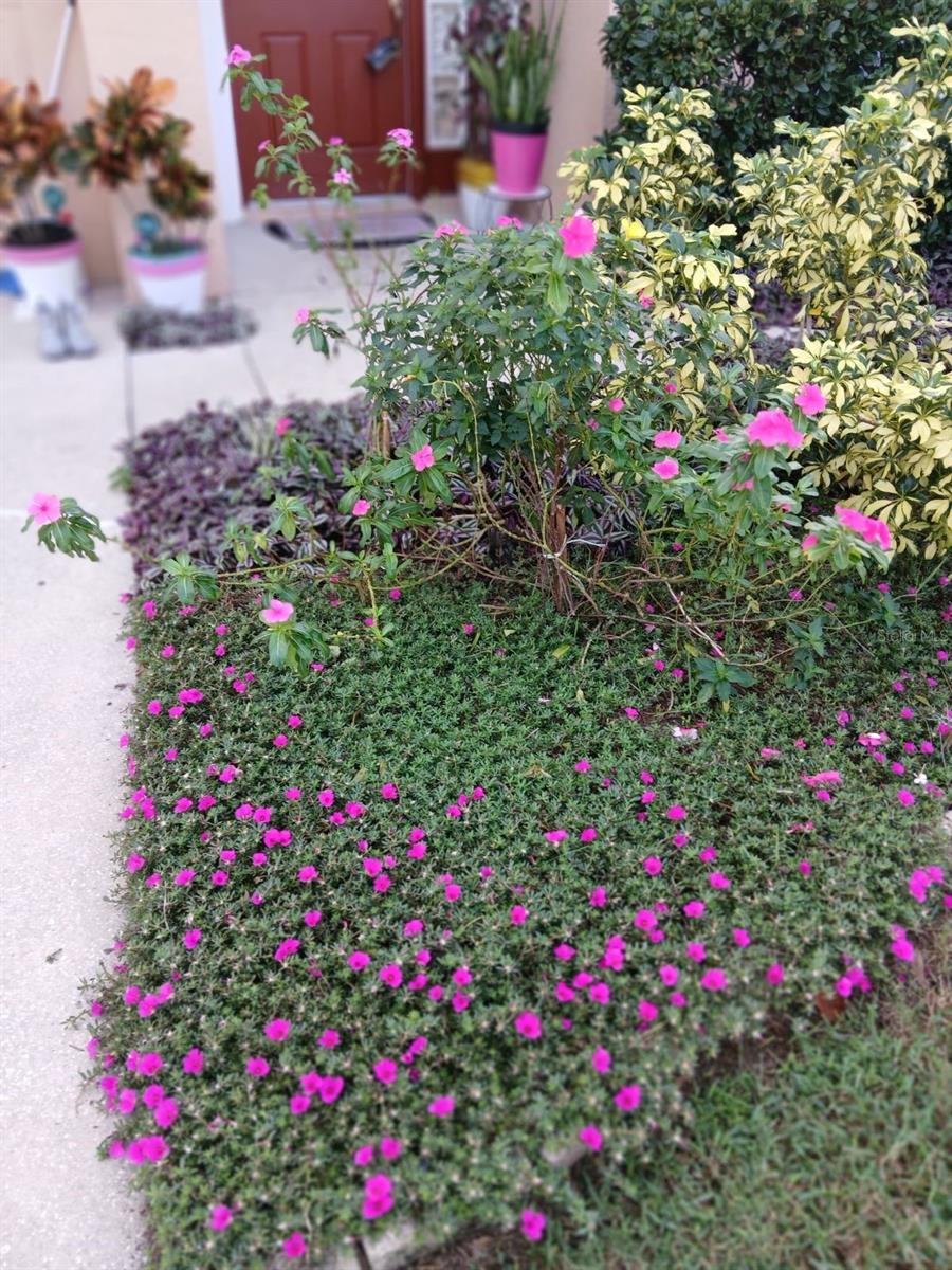 205 FRIESIAN WAY, SANFORD, FL, 32773