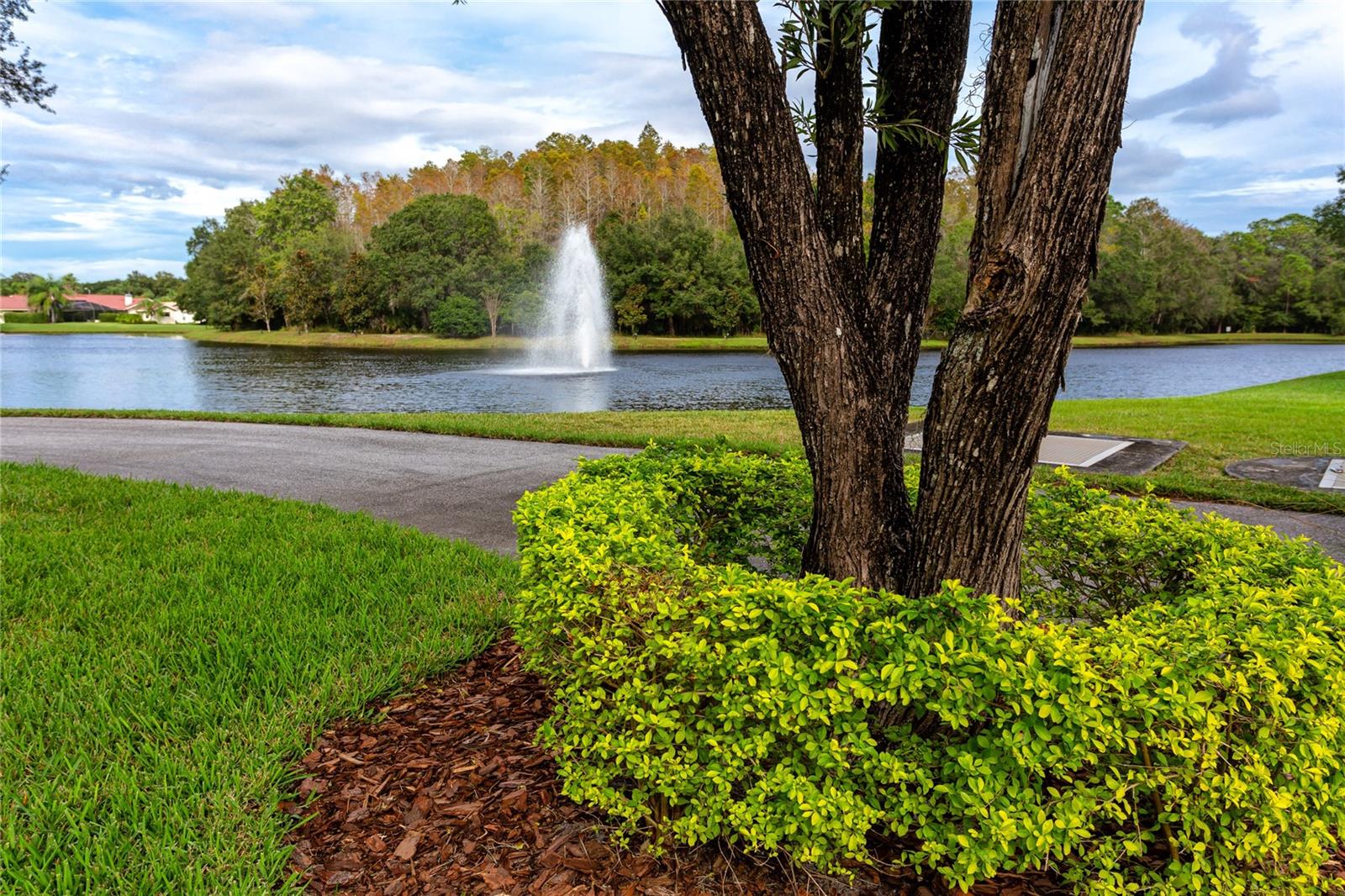 3454 HILLMOOR DR, PALM HARBOR, FL, 34685