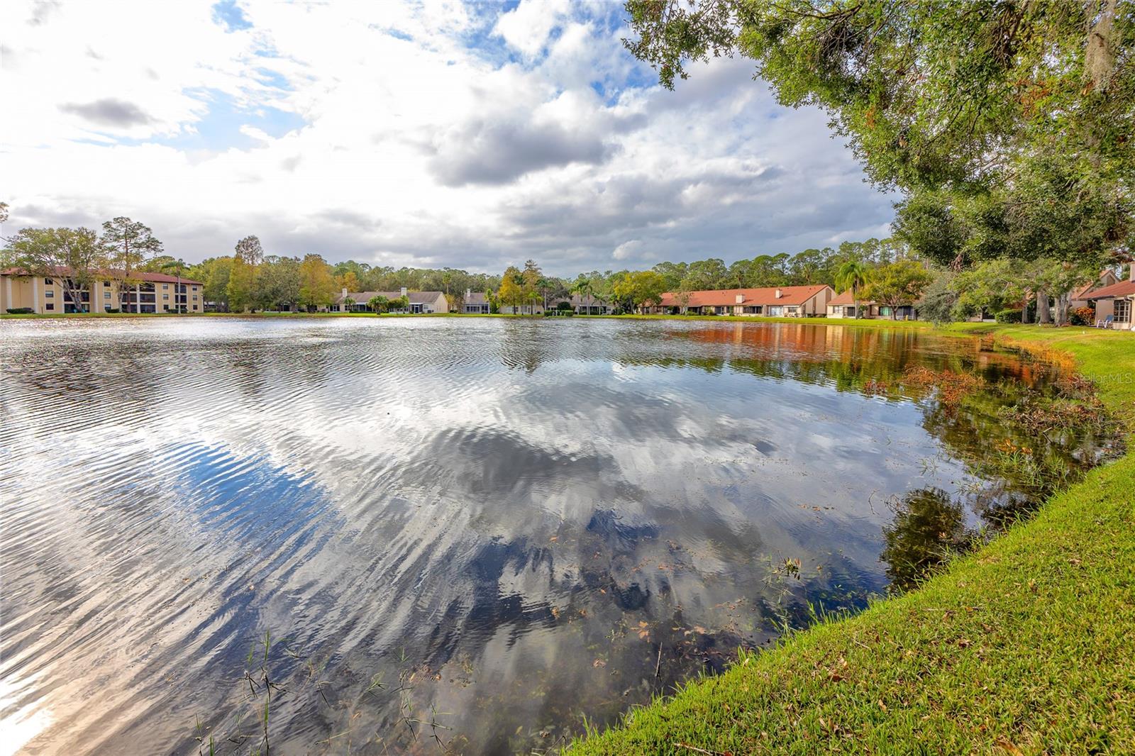 3454 HILLMOOR DR, PALM HARBOR, FL, 34685