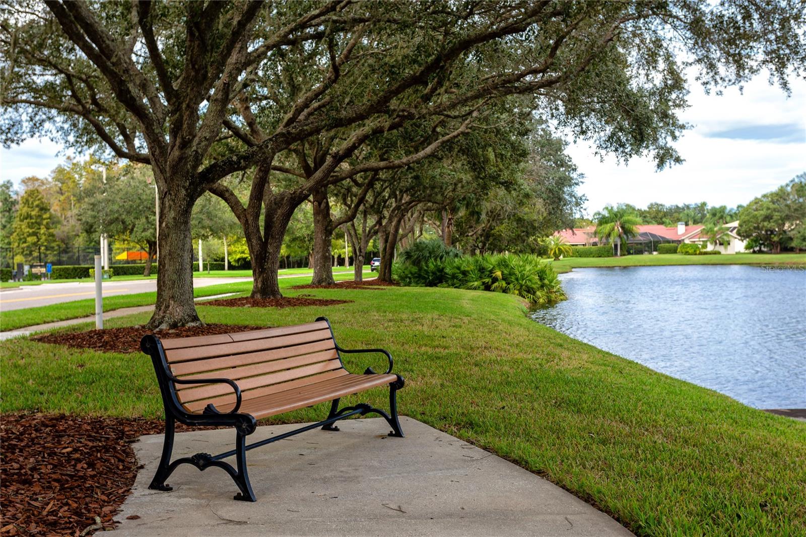 3454 HILLMOOR DR, PALM HARBOR, FL, 34685