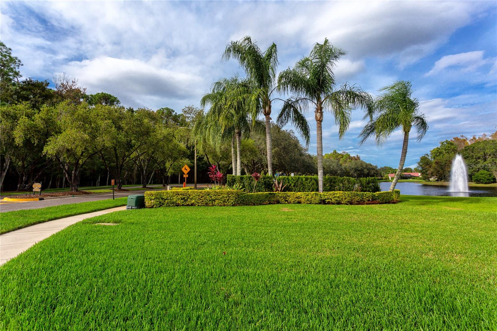 3454 HILLMOOR DR, PALM HARBOR, FL, 34685