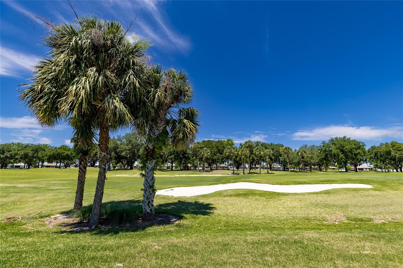 15590 SW 11TH TERRACE RD, OCALA, FL, 34473
