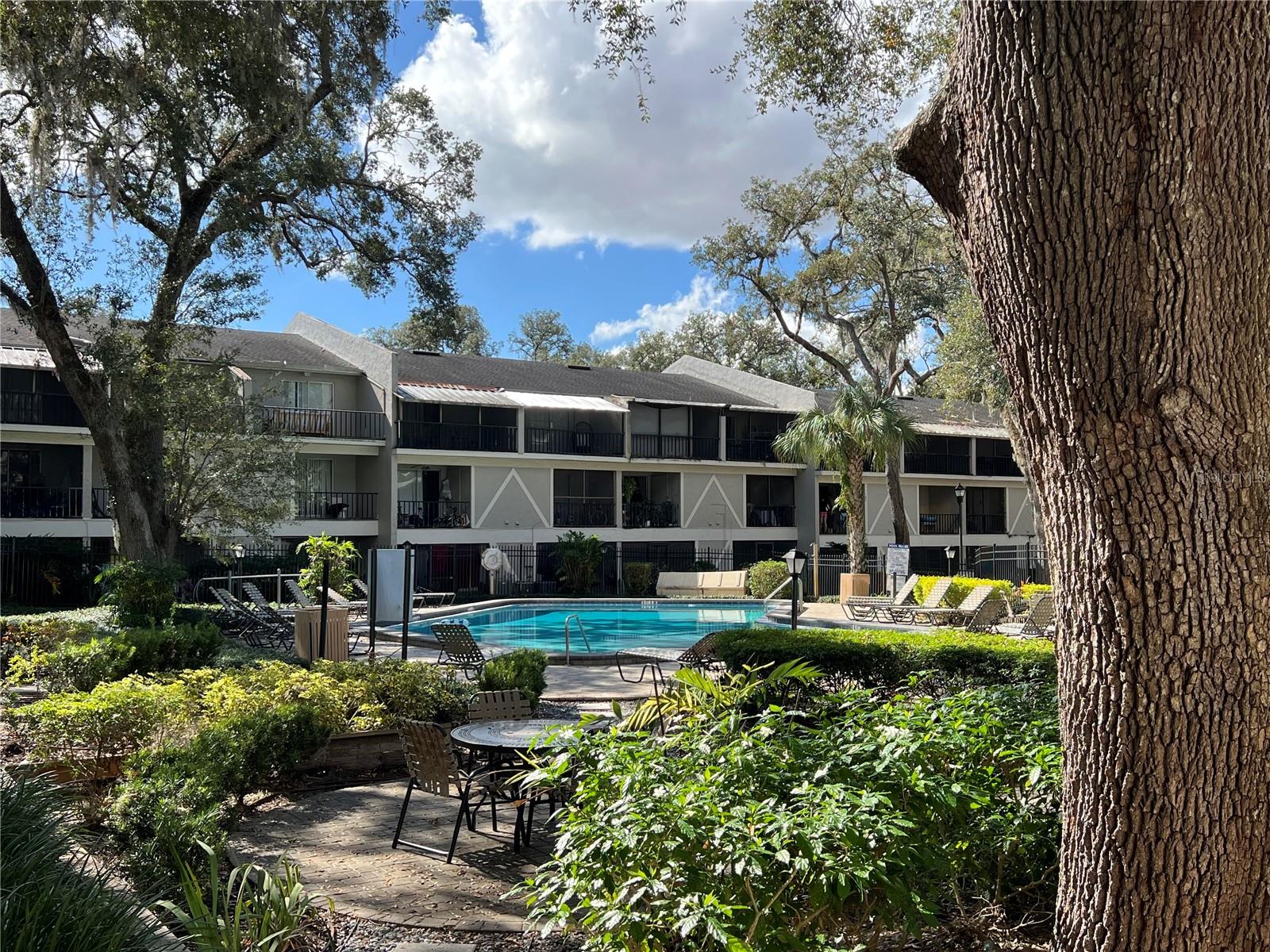14478 REUTER STRASSE CIR #304 (Apt #2), TAMPA, FL, 33613