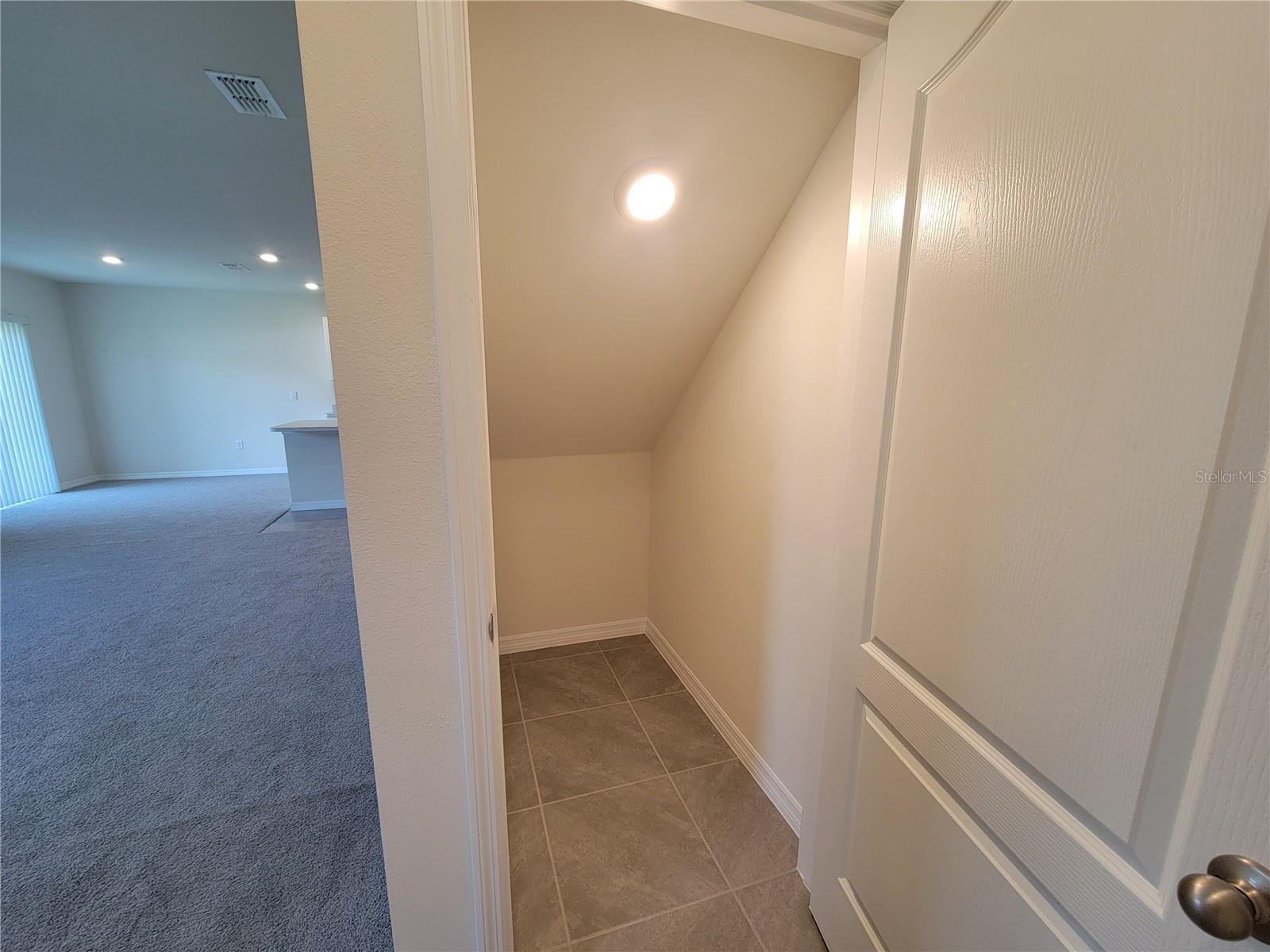2808 PALATINO LN, TAVARES, FL, 32778