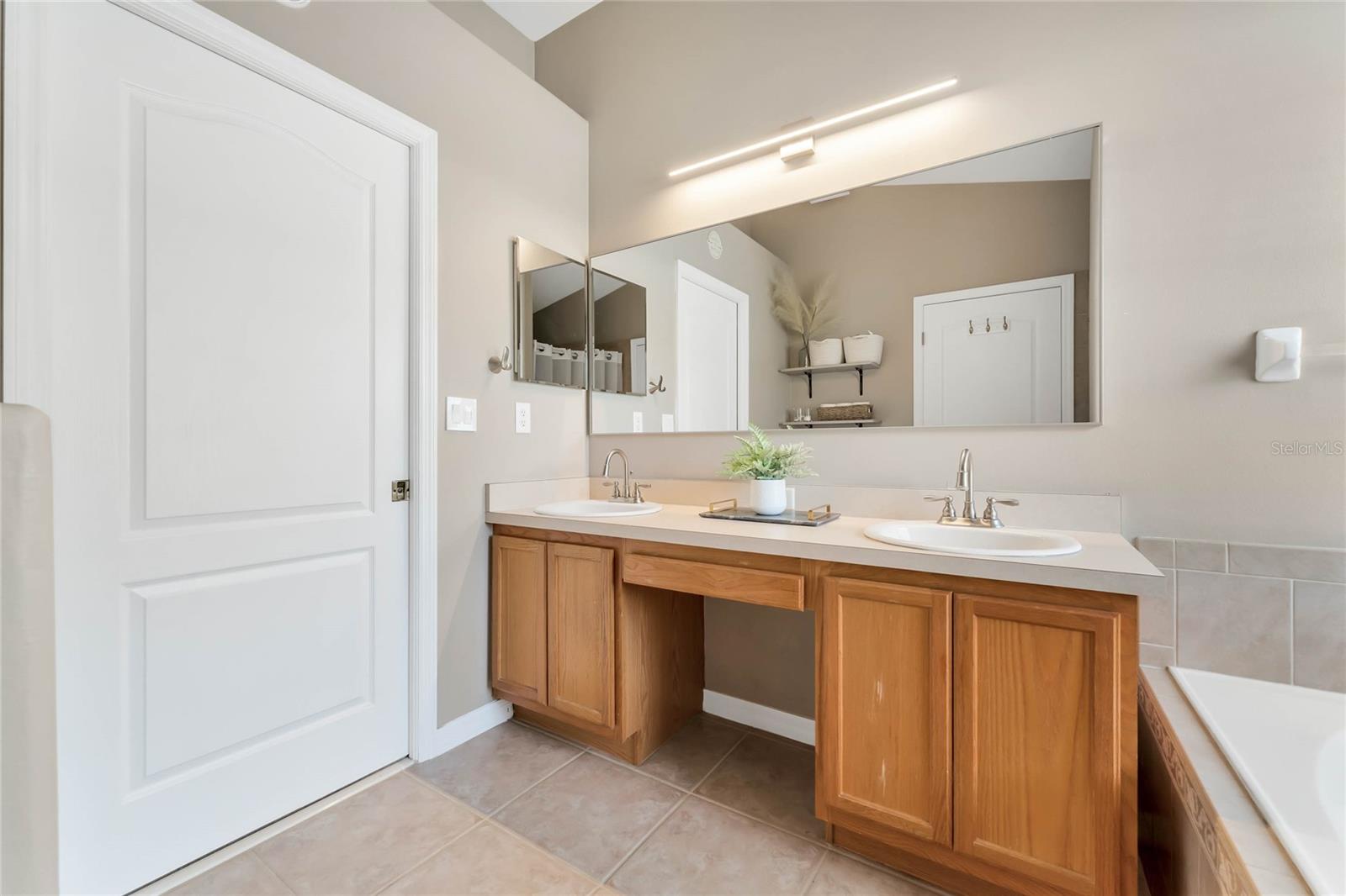 239 BRONZE LEAF CT, APOPKA, FL, 32703