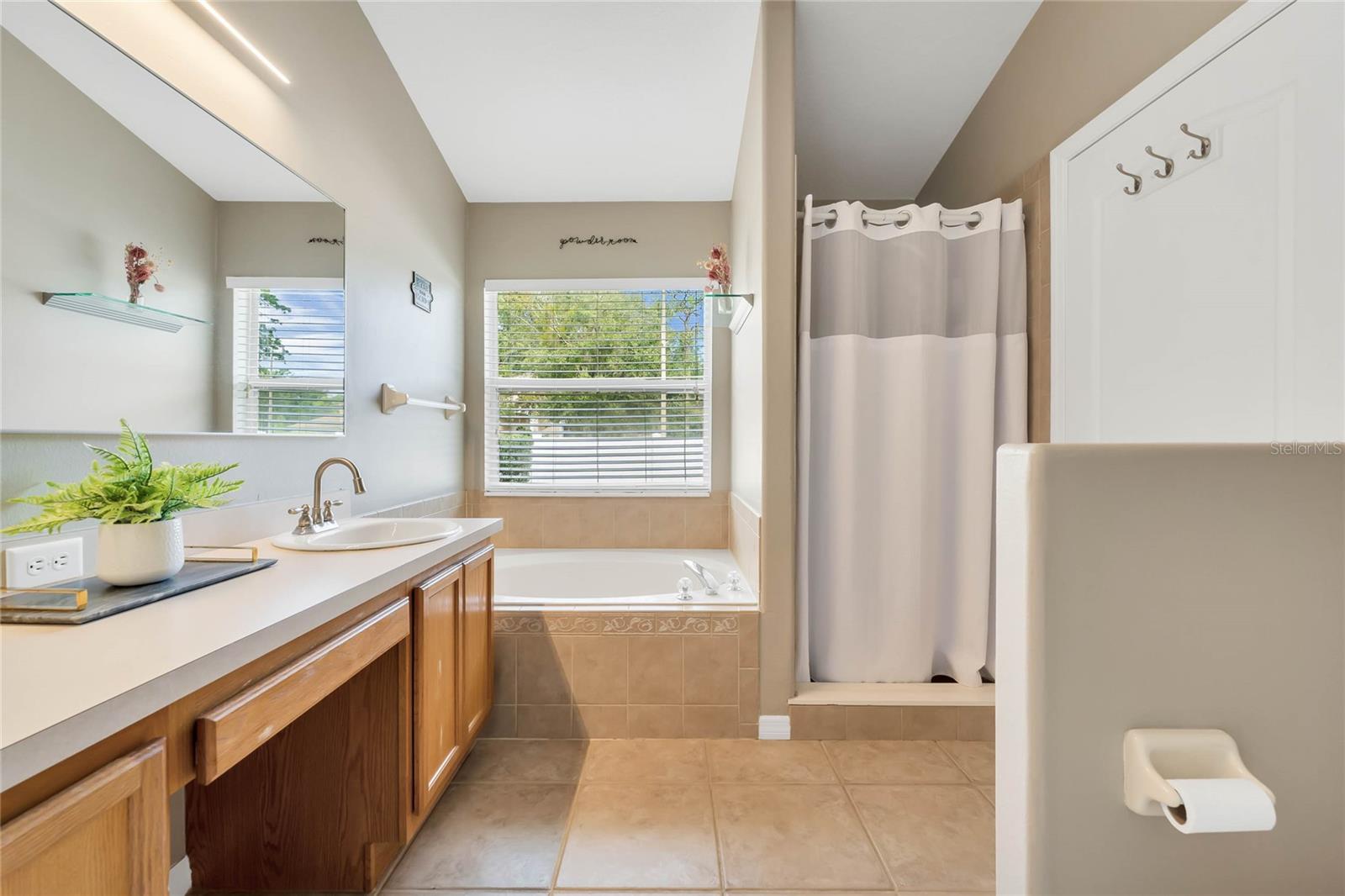 239 BRONZE LEAF CT, APOPKA, FL, 32703