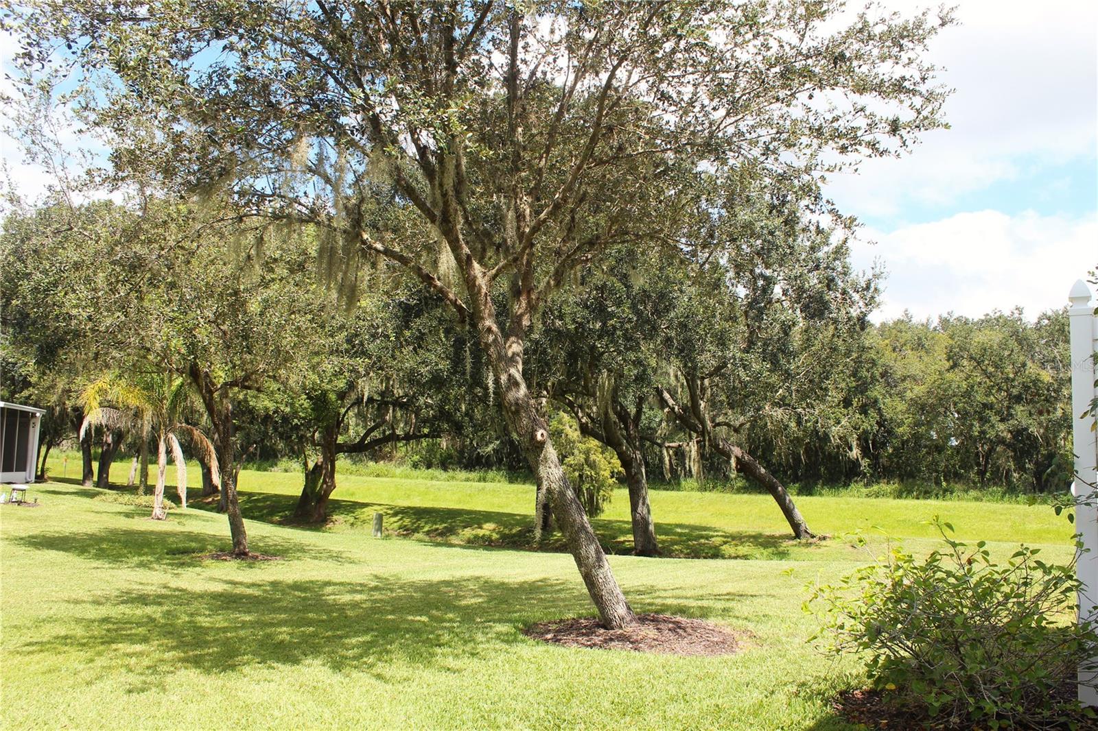 4283 MORTON CT, LAKELAND, FL, 33813