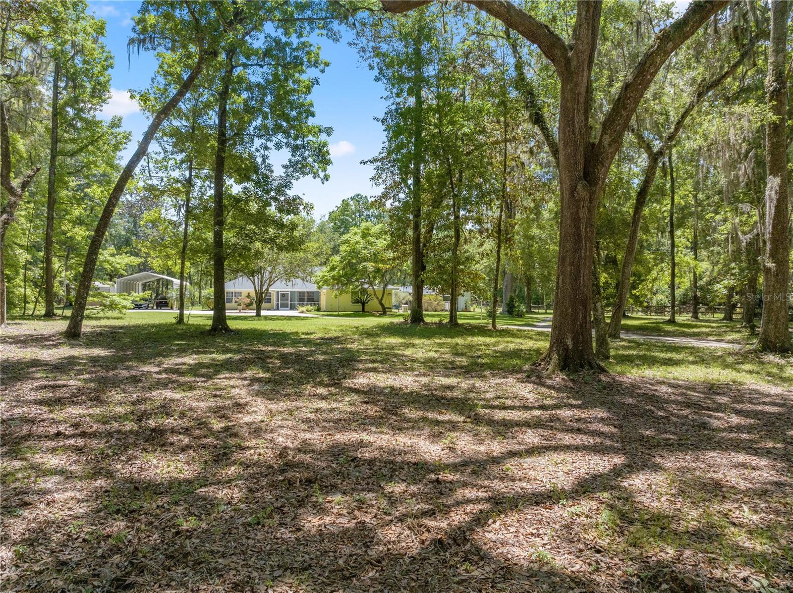 9460 NW 230TH ST, MICANOPY, FL, 32667
