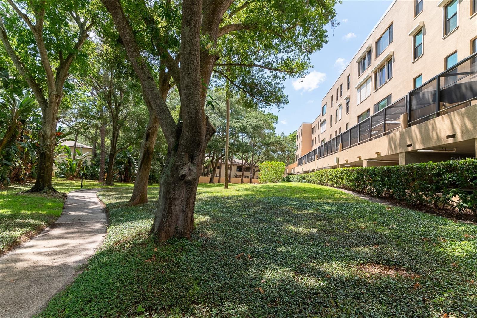 3078 EASTLAND BLVD #304, CLEARWATER, FL, 33761