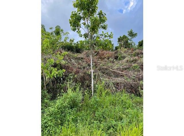 0000 139 CT, DUNNELLON, FL, 34432