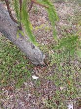 0000 139 CT, DUNNELLON, FL, 34432