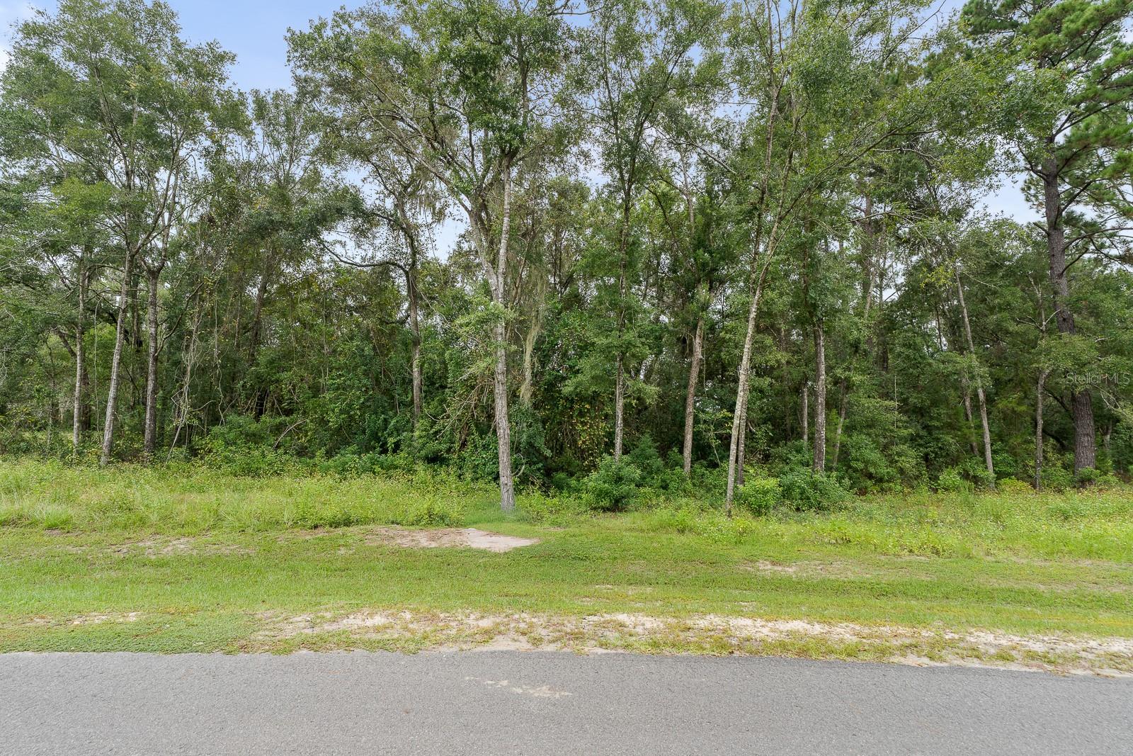 17197 SW 11 CT, NEWBERRY, FL, 32669