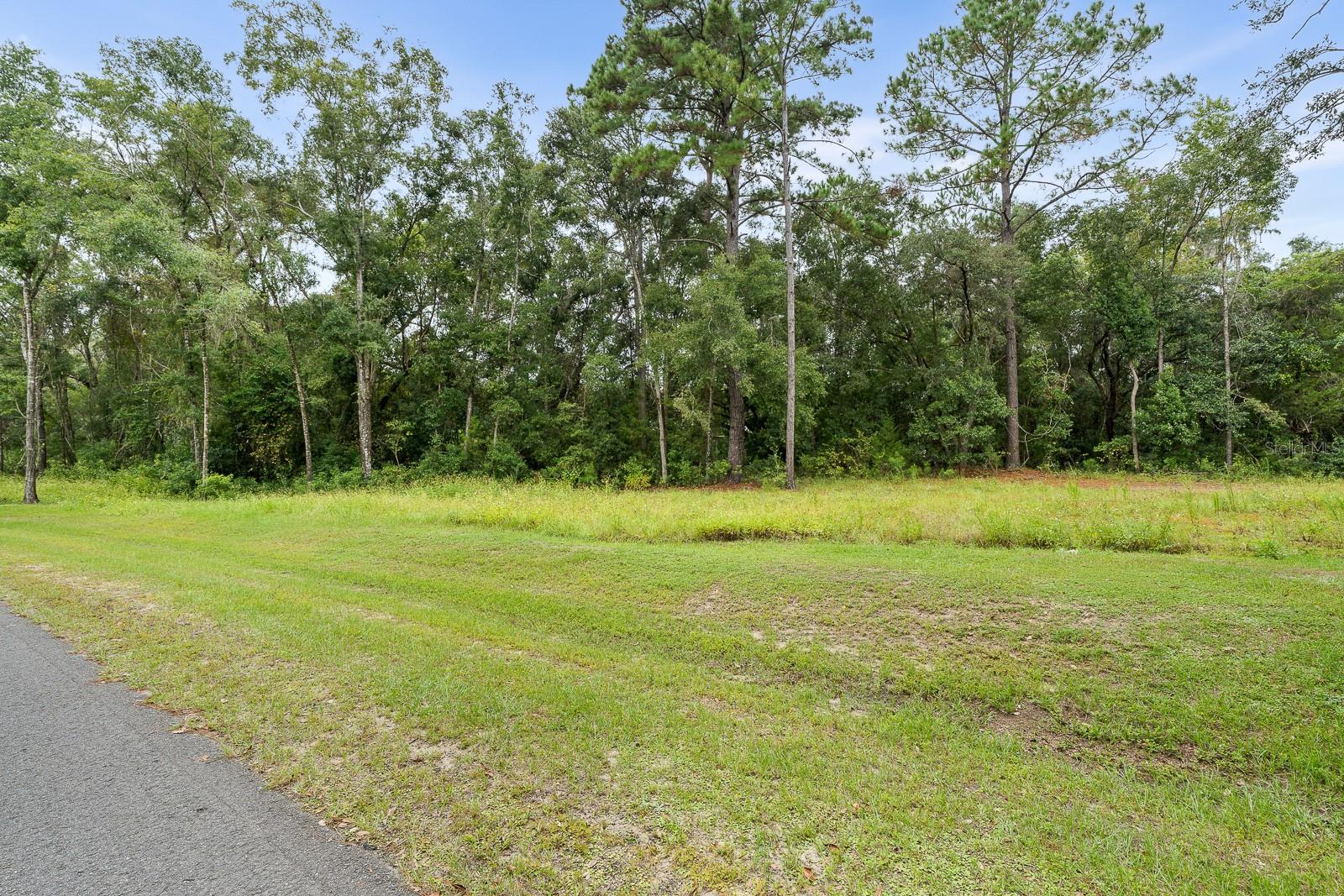 17197 SW 11 CT, NEWBERRY, FL, 32669