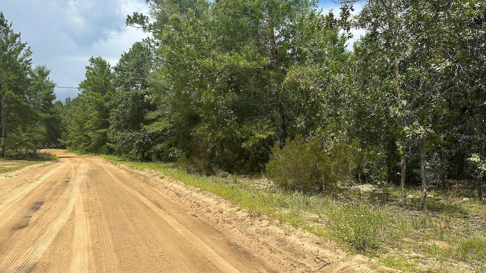 104 HAZEL AVE, GEORGETOWN, FL, 32139