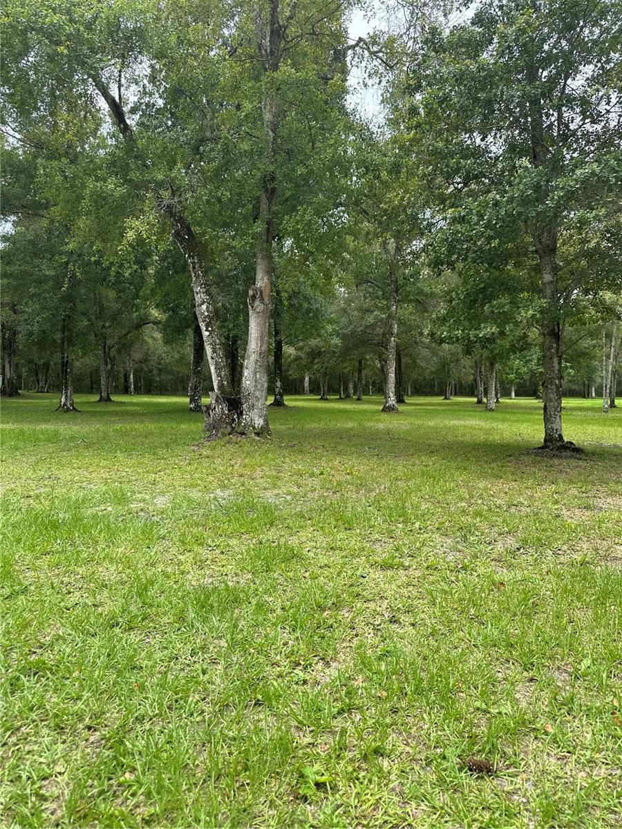 3391 RACKLEY RD, BROOKSVILLE, FL, 34604