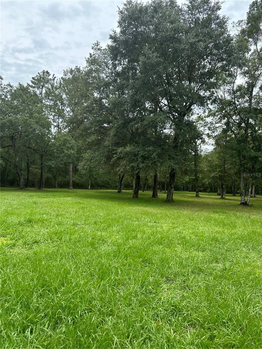 3391 RACKLEY RD, BROOKSVILLE, FL, 34604