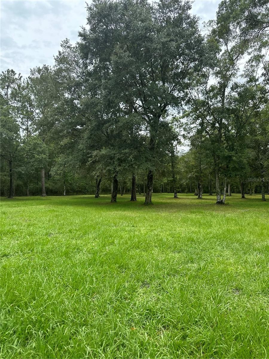 3391 RACKLEY RD, BROOKSVILLE, FL, 34604
