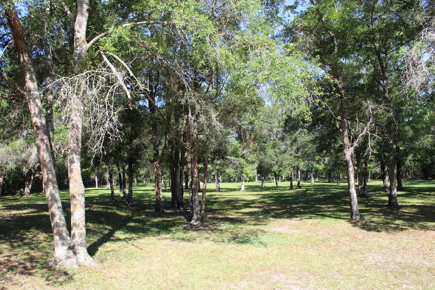 3391 RACKLEY RD, BROOKSVILLE, FL, 34604