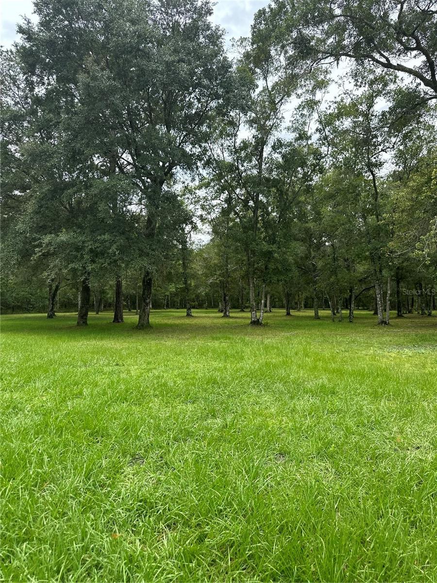 3391 RACKLEY RD, BROOKSVILLE, FL, 34604