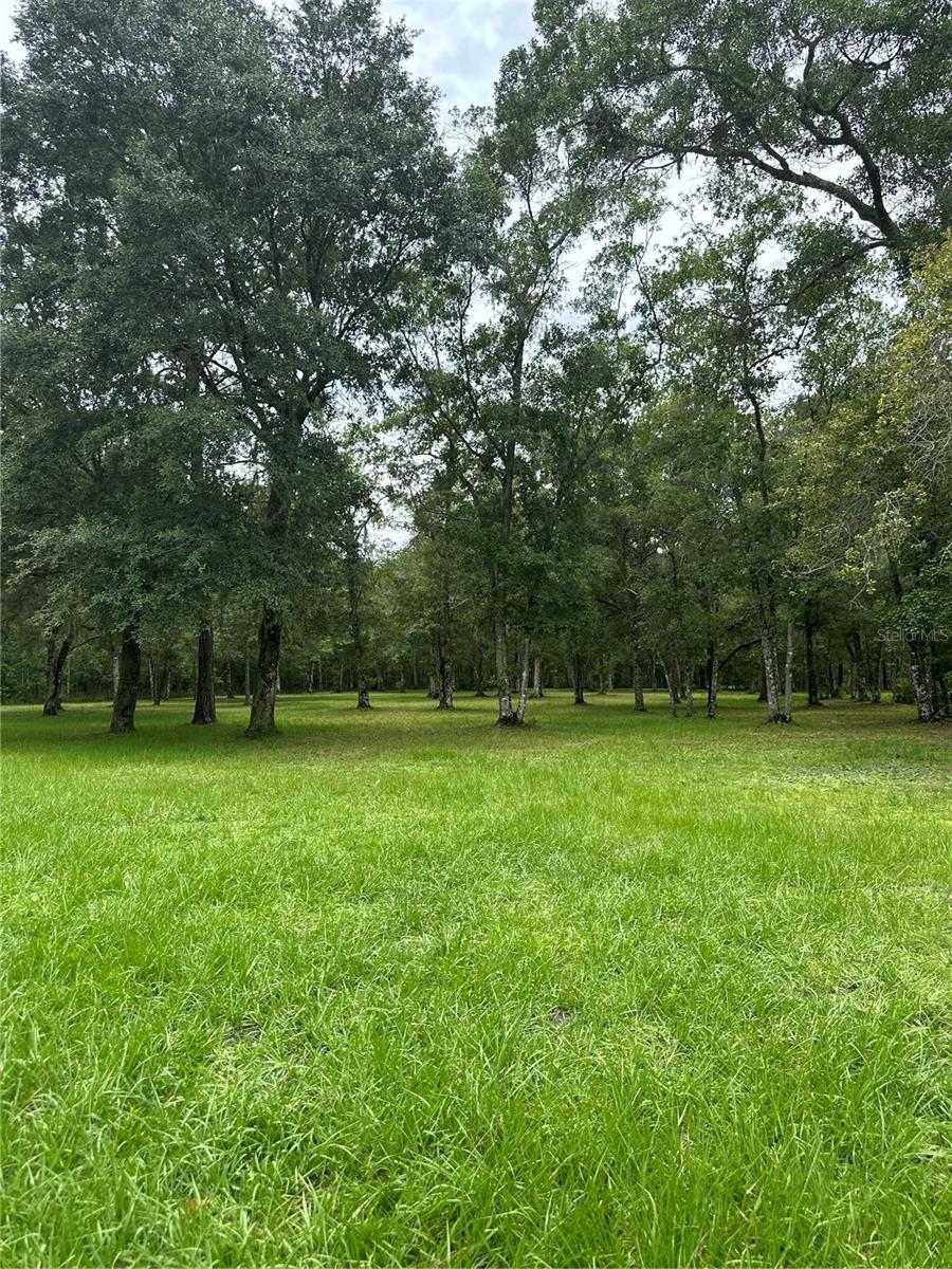 3391 RACKLEY RD, BROOKSVILLE, FL, 34604