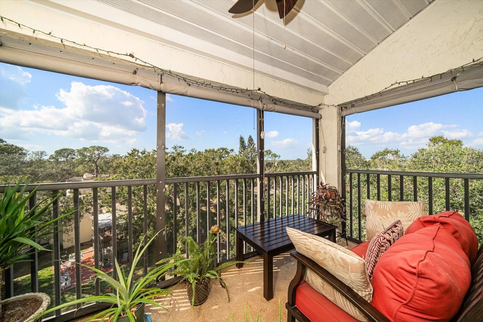 700 STARKEY RD #352, LARGO, FL, 33771