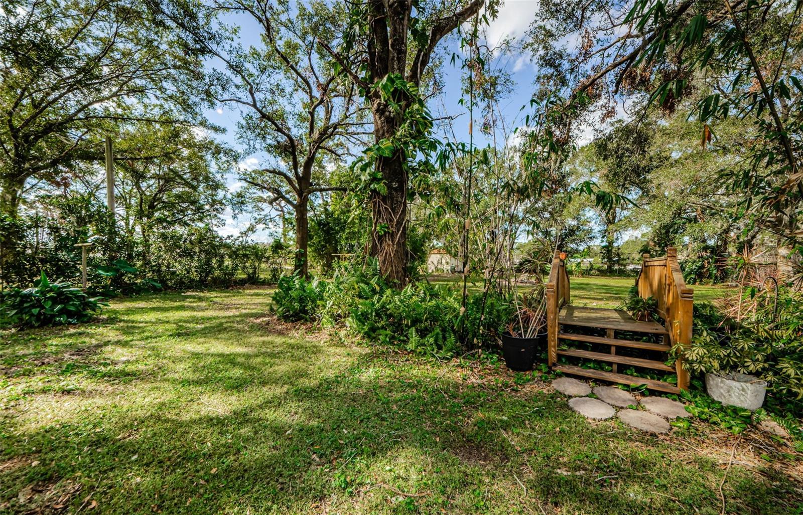 17504 MARSH RD, LUTZ, FL, 33558