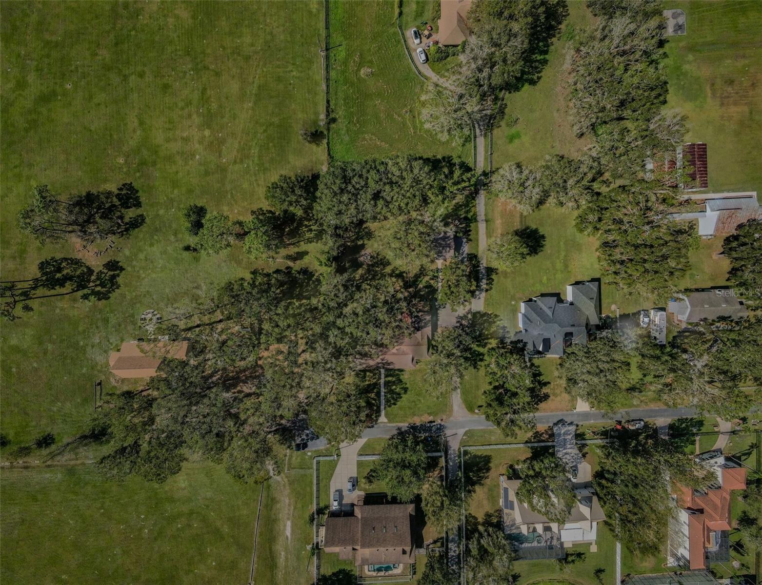 17504 MARSH RD, LUTZ, FL, 33558
