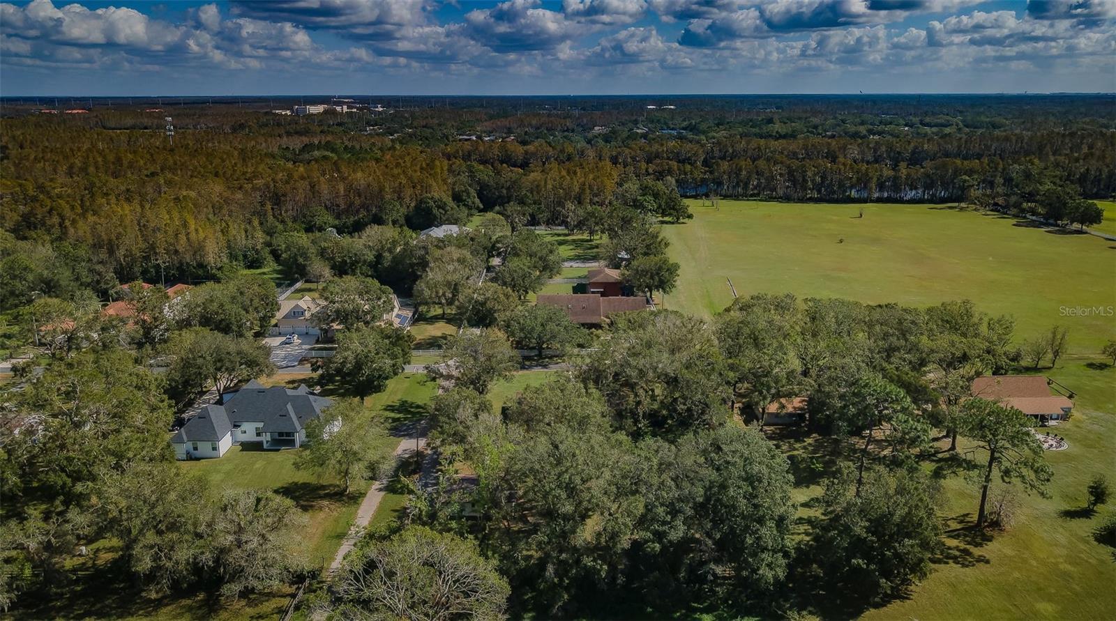 17504 MARSH RD, LUTZ, FL, 33558
