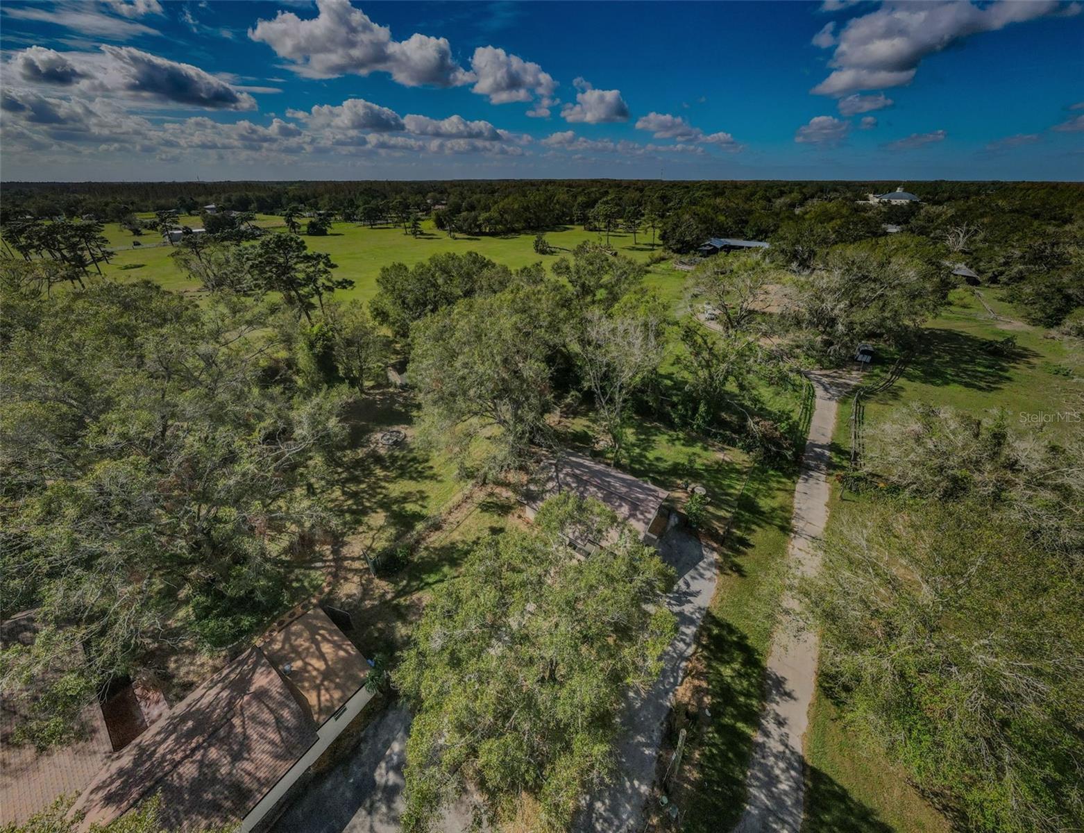 17504 MARSH RD, LUTZ, FL, 33558