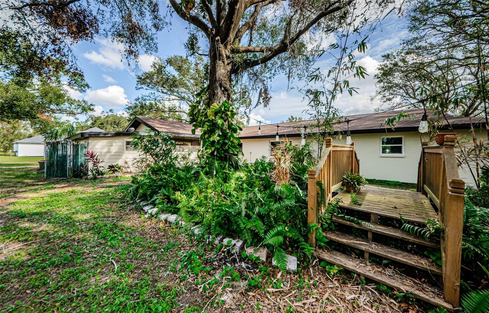 17504 MARSH RD, LUTZ, FL, 33558