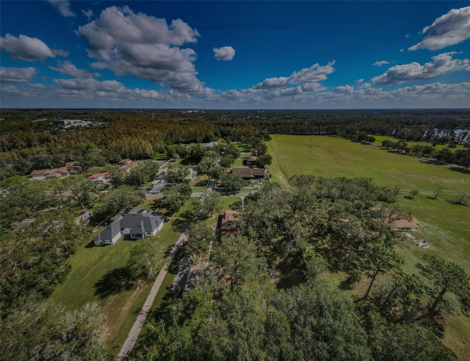 17504 MARSH RD, LUTZ, FL, 33558