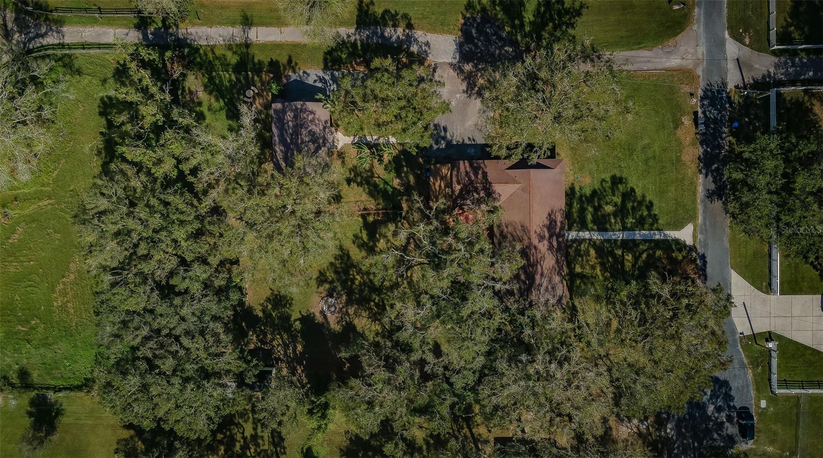17504 MARSH RD, LUTZ, FL, 33558