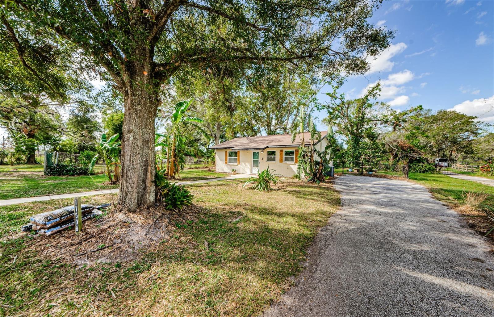 17504 MARSH RD, LUTZ, FL, 33558