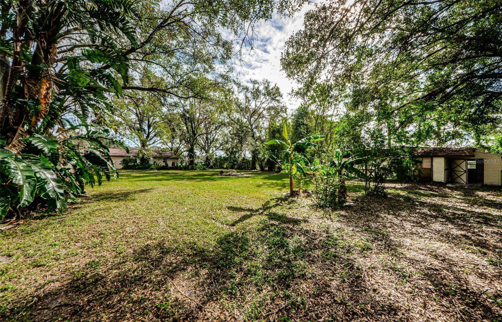 17504 MARSH RD, LUTZ, FL, 33558