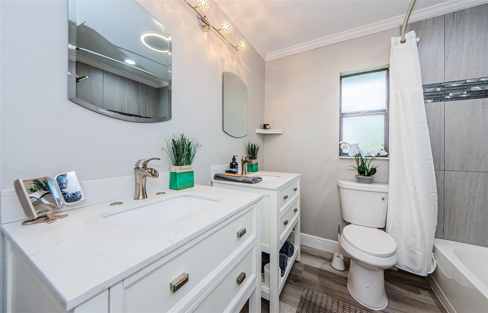17504 MARSH RD, LUTZ, FL, 33558