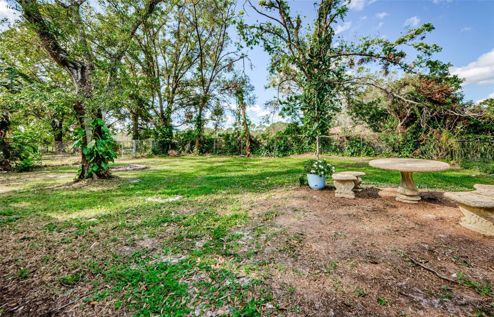 17504 MARSH RD, LUTZ, FL, 33558