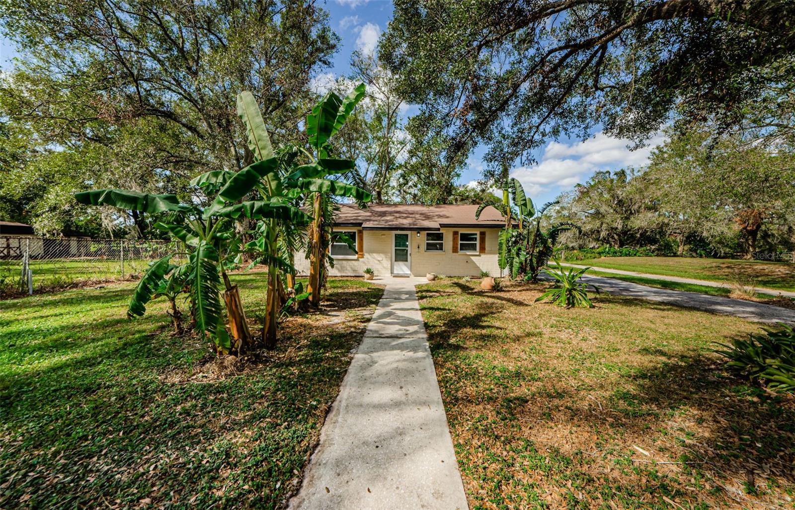 17504 MARSH RD, LUTZ, FL, 33558