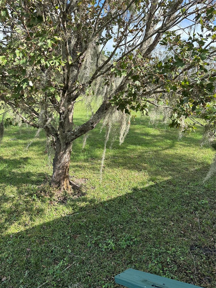 7985 WALKER LAKE RD, BARTOW, FL, 33830