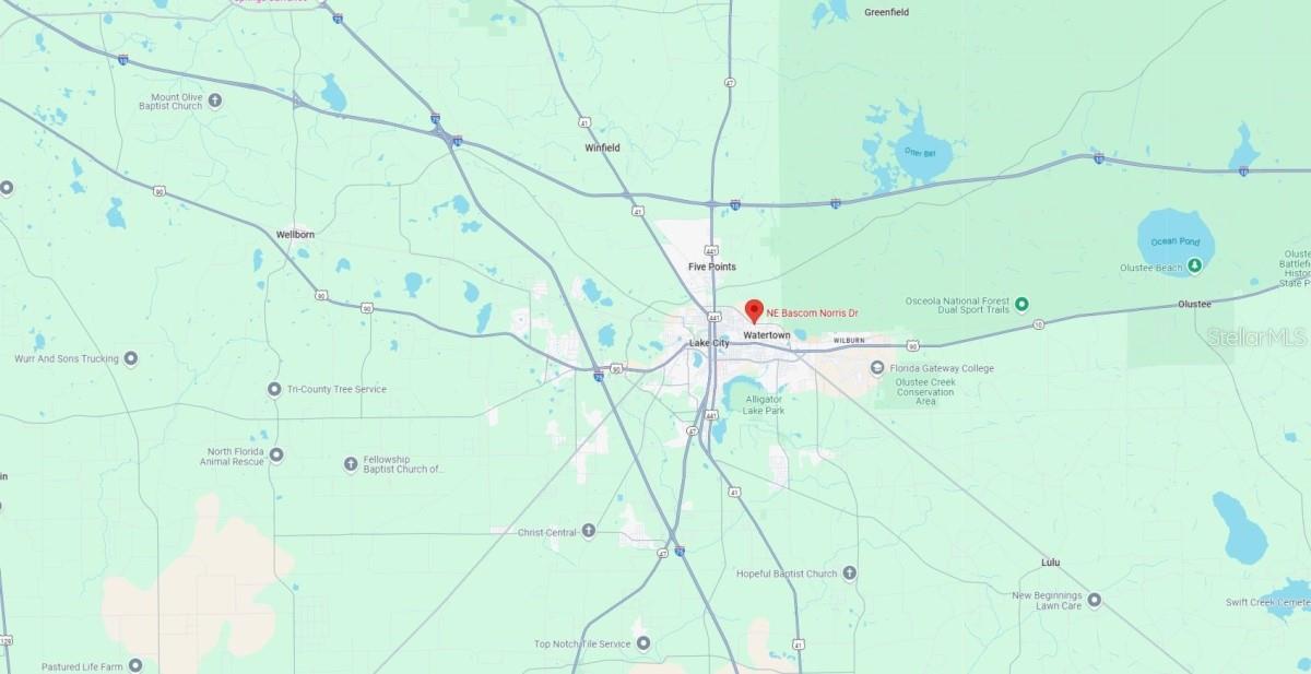 NE BOSCOM NORRIS DR, LAKE CITY, FL, 32055
