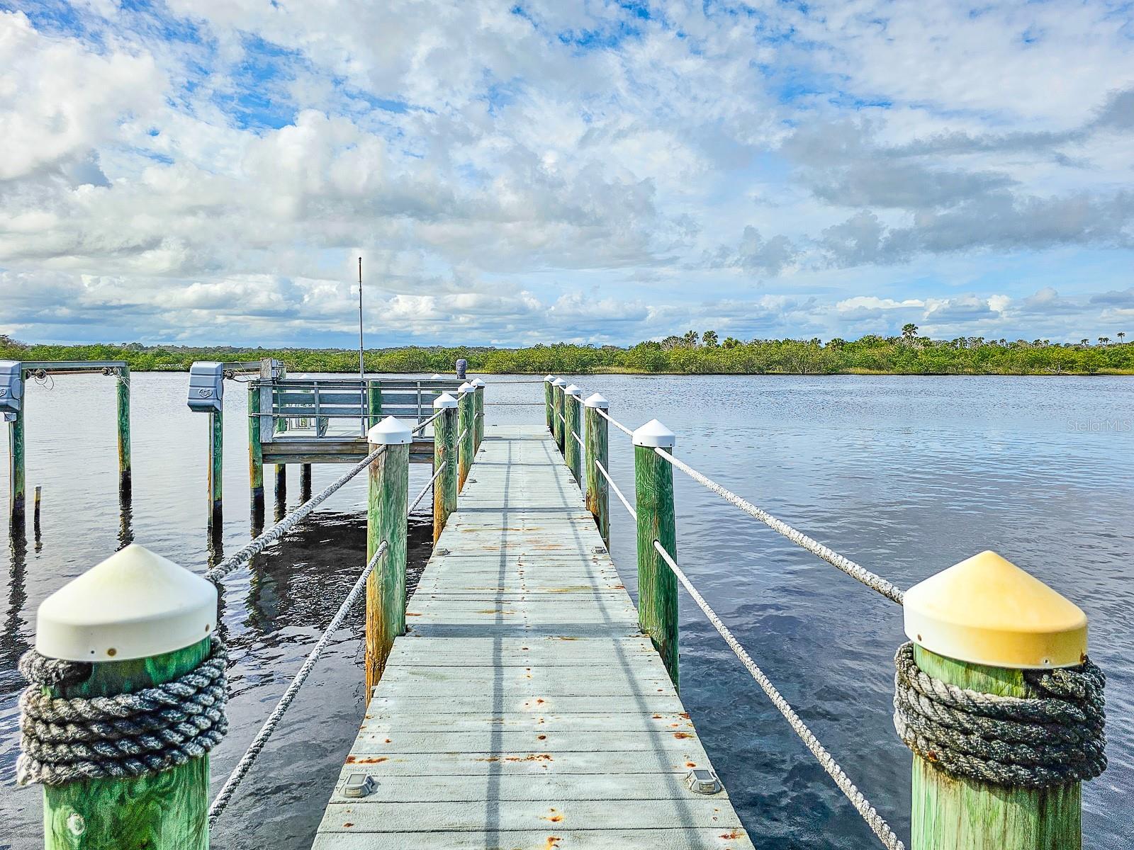 254 OCEAN PALM DR, FLAGLER BEACH, FL, 32136