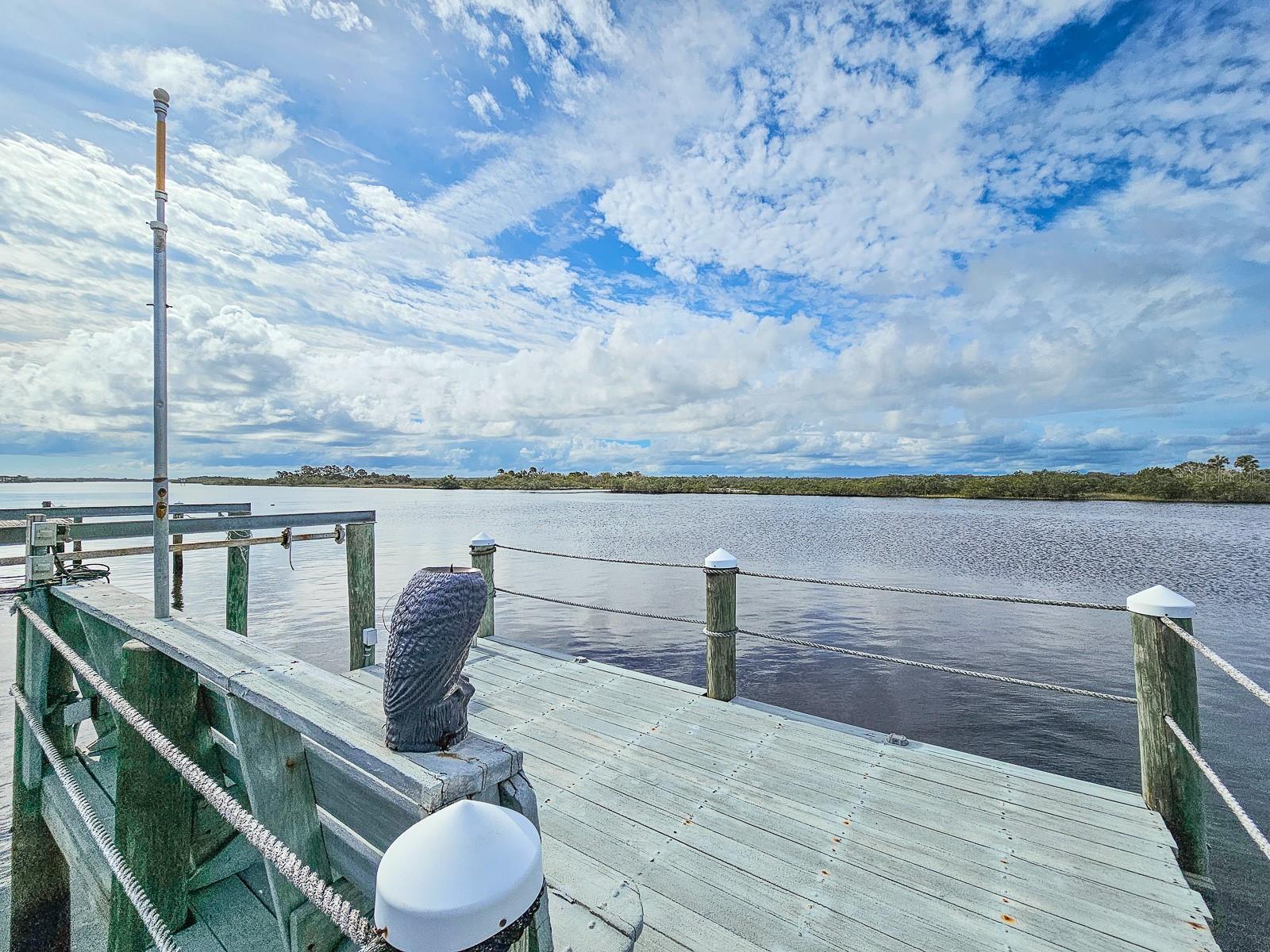 254 OCEAN PALM DR, FLAGLER BEACH, FL, 32136