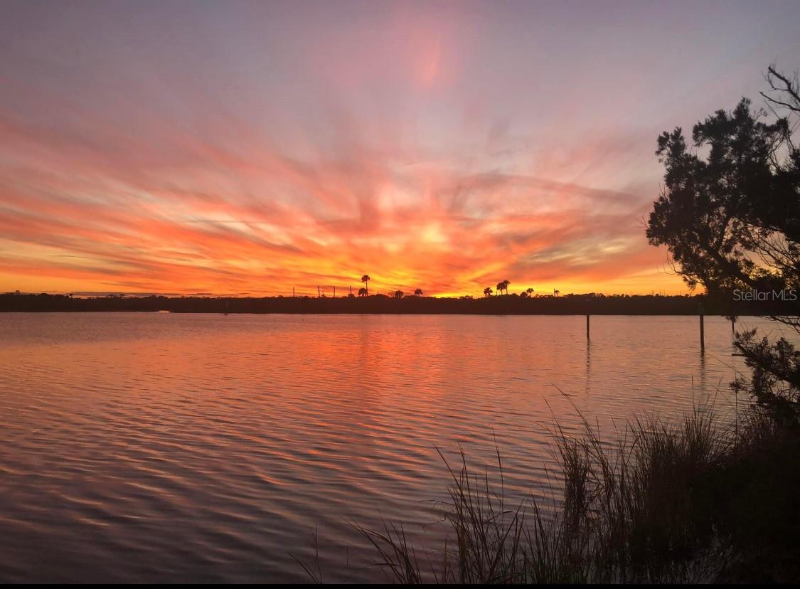 254 OCEAN PALM DR, FLAGLER BEACH, FL, 32136