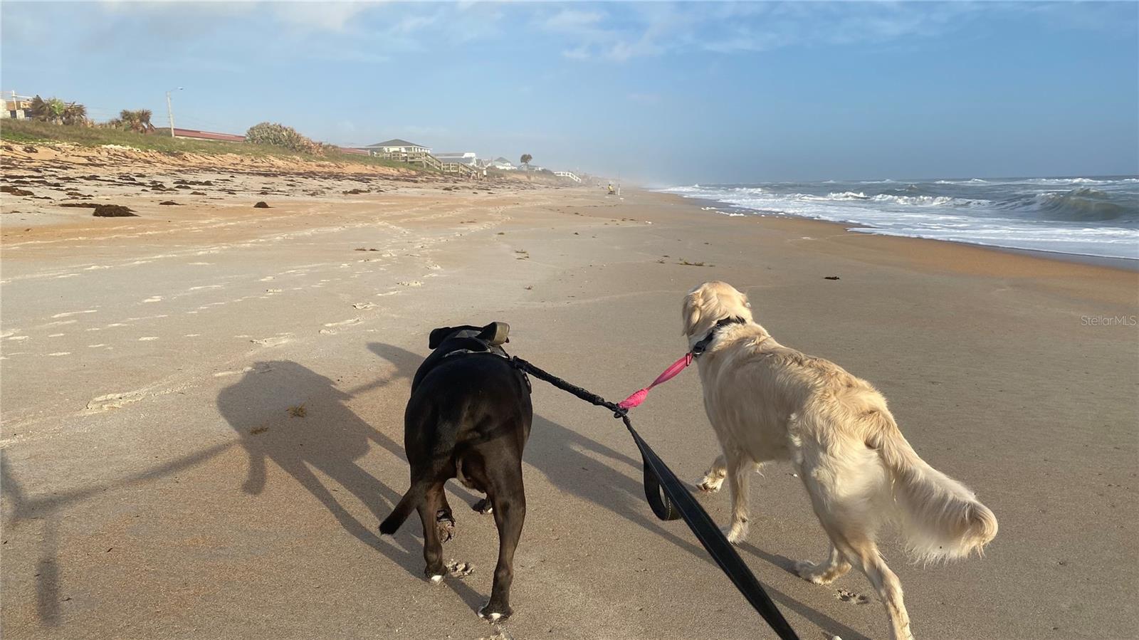 254 OCEAN PALM DR, FLAGLER BEACH, FL, 32136