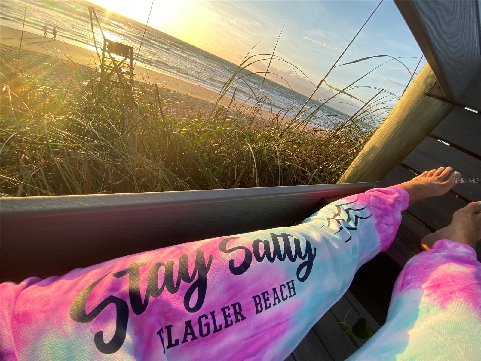 254 OCEAN PALM DR, FLAGLER BEACH, FL, 32136