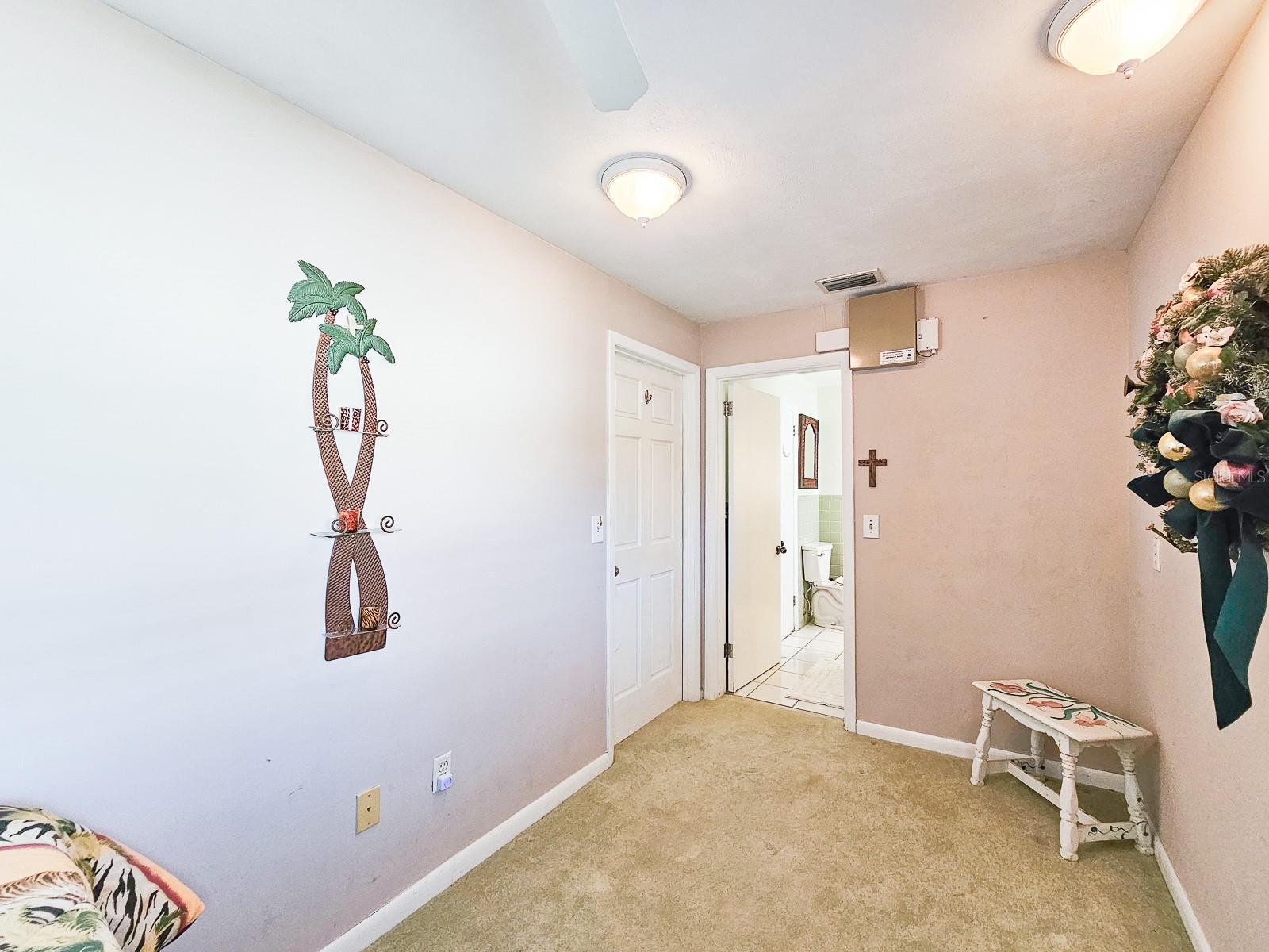 254 OCEAN PALM DR, FLAGLER BEACH, FL, 32136