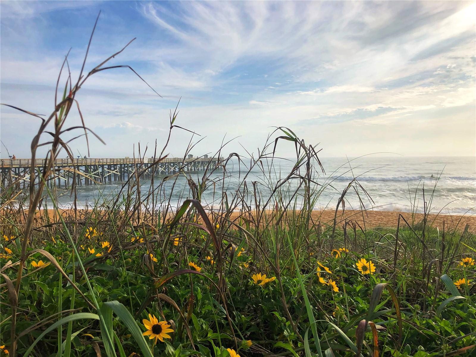 254 OCEAN PALM DR, FLAGLER BEACH, FL, 32136