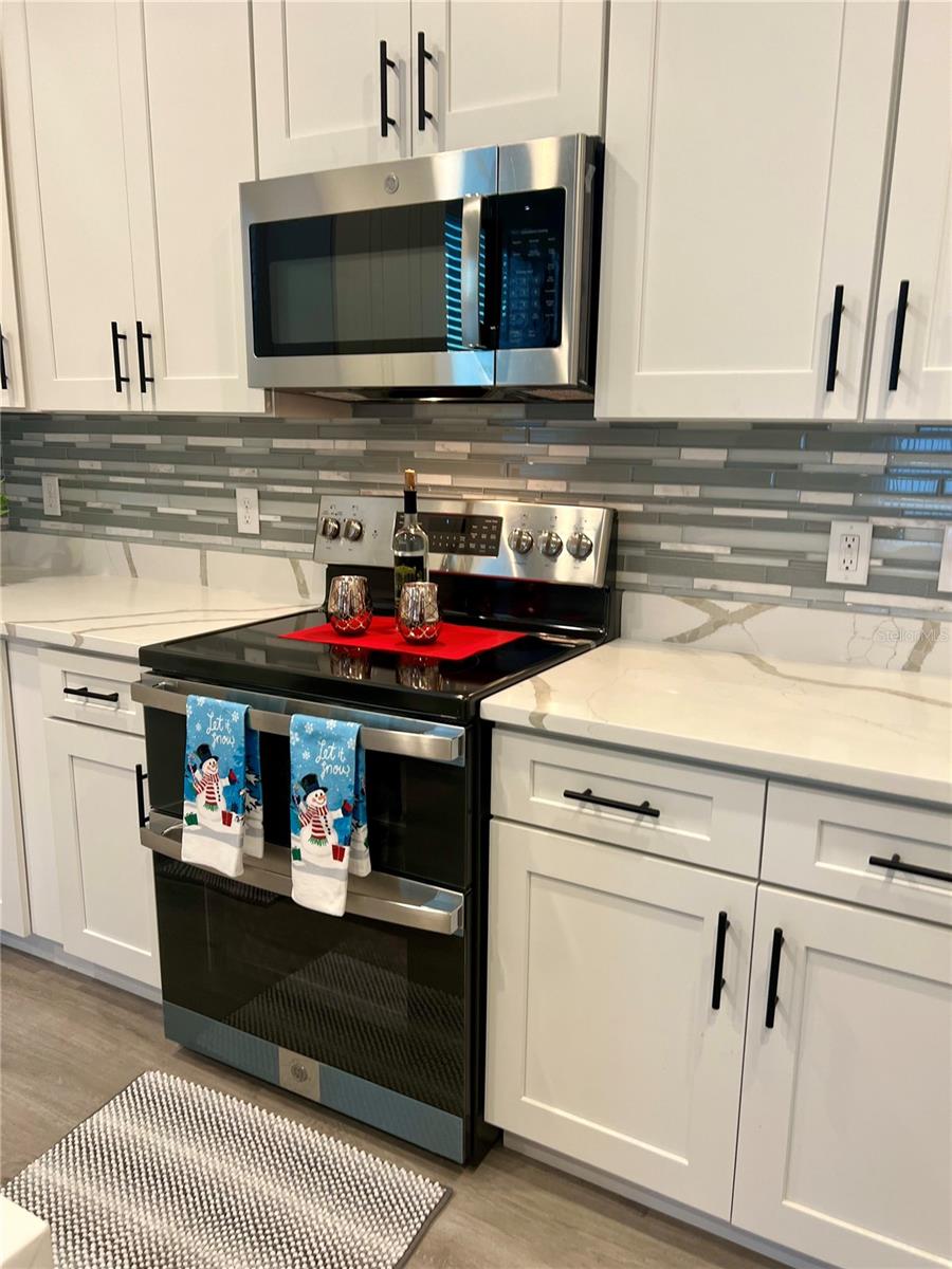 267 DOE RUN DR, WINTER GARDEN, FL, 34787