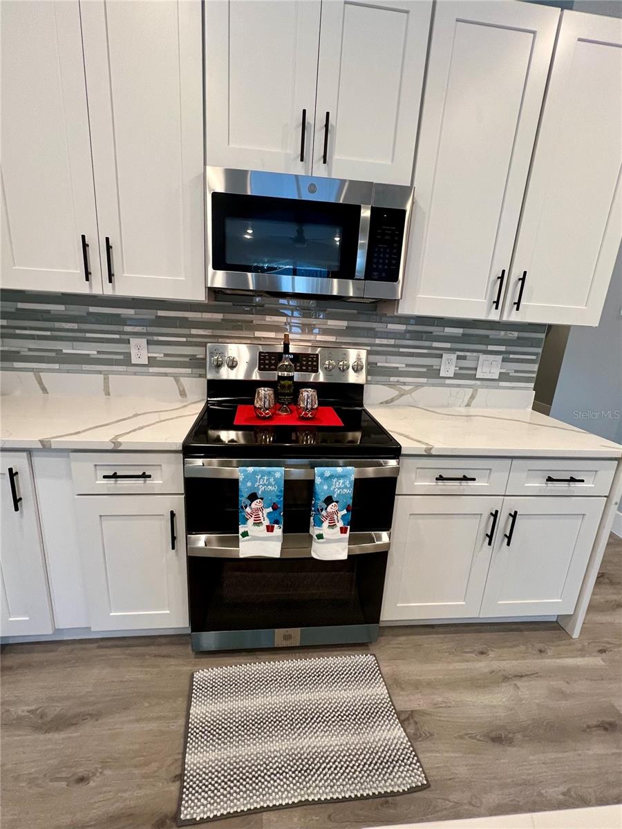 267 DOE RUN DR, WINTER GARDEN, FL, 34787