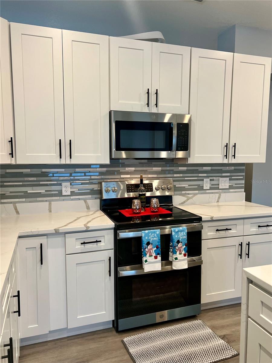 267 DOE RUN DR, WINTER GARDEN, FL, 34787