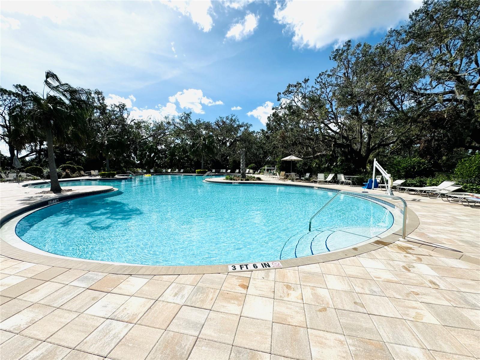 8519 SUNSHOWER PL, PARRISH, FL, 34219
